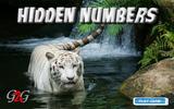 Найди скрытые числа: Белый тигр