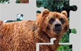 Собери пазл: медведь