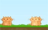 Коты-астронавты
